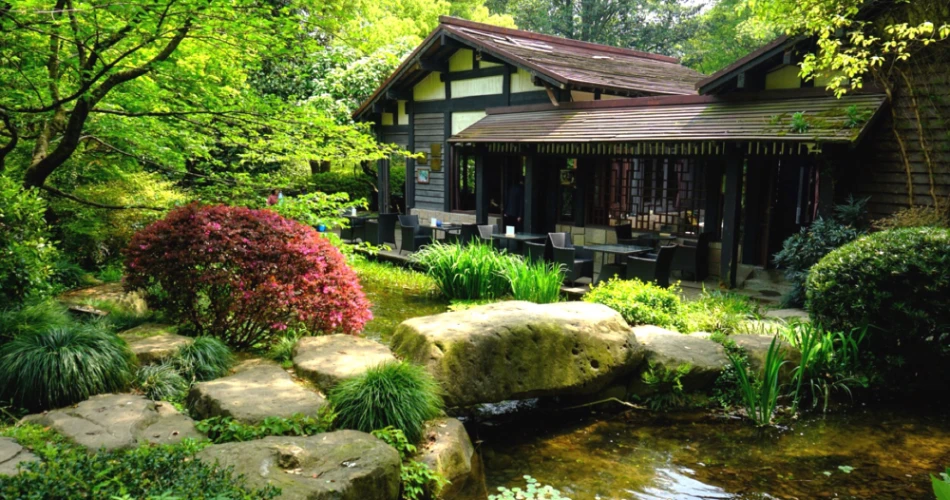 Day Trip Guide to Hangzhou from Shanghai