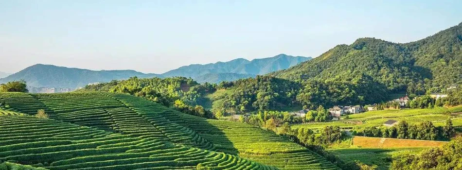 Day Trip Guide to Hangzhou from Shanghai